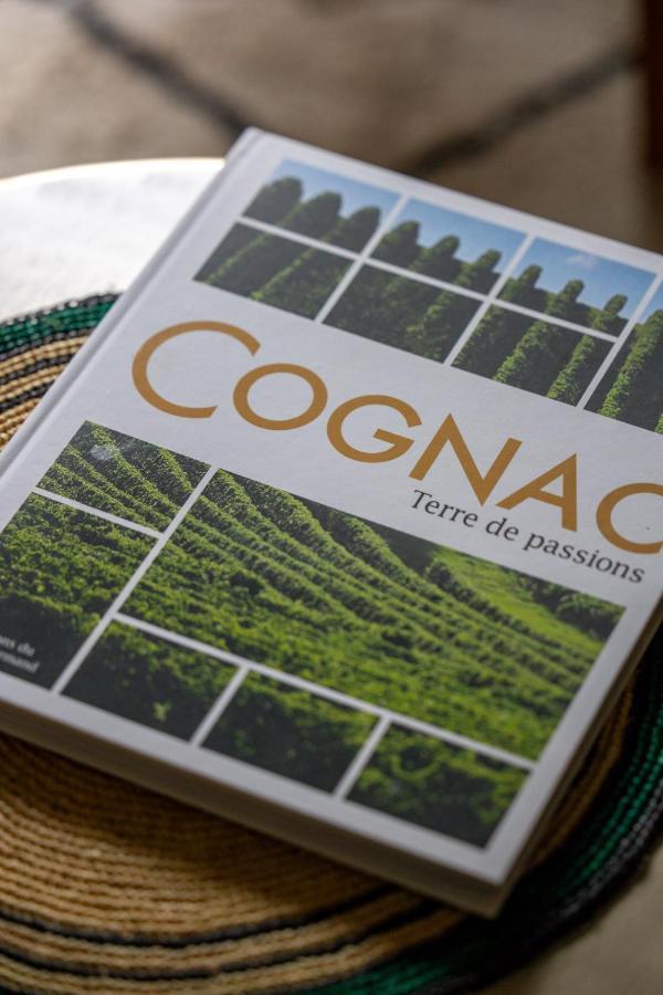 Tour Du Palais #Terrasse #Vue Apartment Cognac Ngoại thất bức ảnh